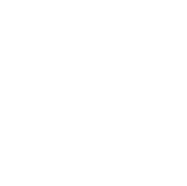 transforming economies through growing city regions
